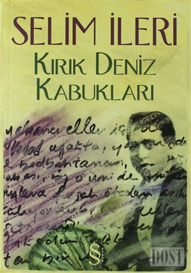 Kırık Deniz Kabukları